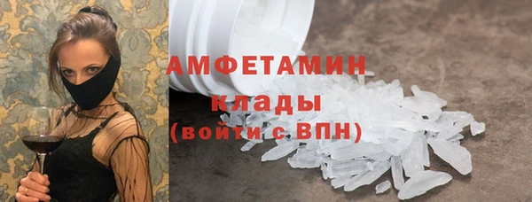 крисы Баксан
