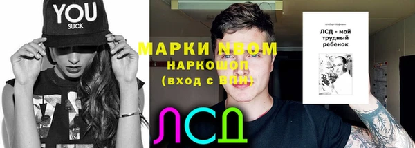 крисы Баксан