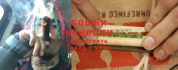 крисы Баксан