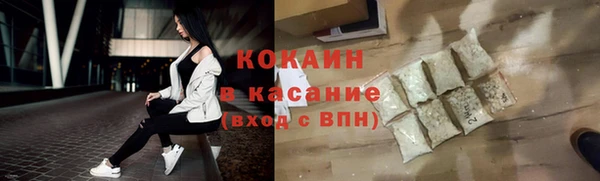 крисы Баксан