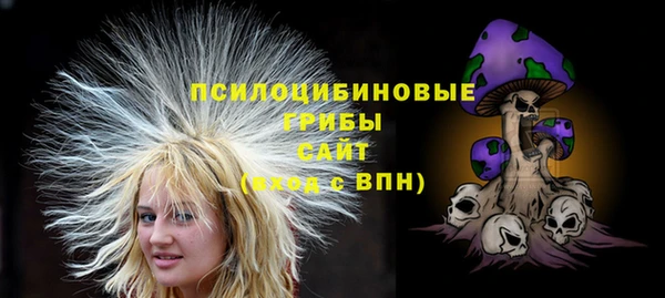 крисы Баксан