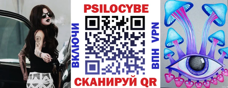 как найти наркотики  Красный Холм  ссылка на мегу ССЫЛКА  Галлюциногенные грибы Psilocybe 