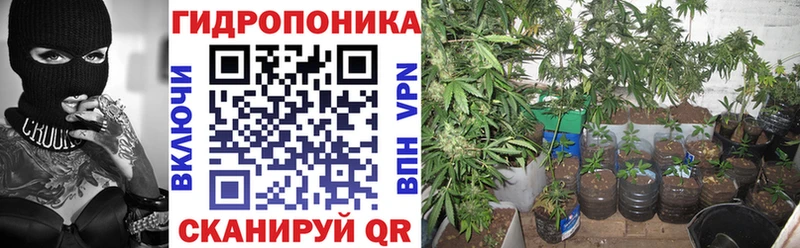 магазин продажи   Красный Холм  Бошки Шишки сатива 